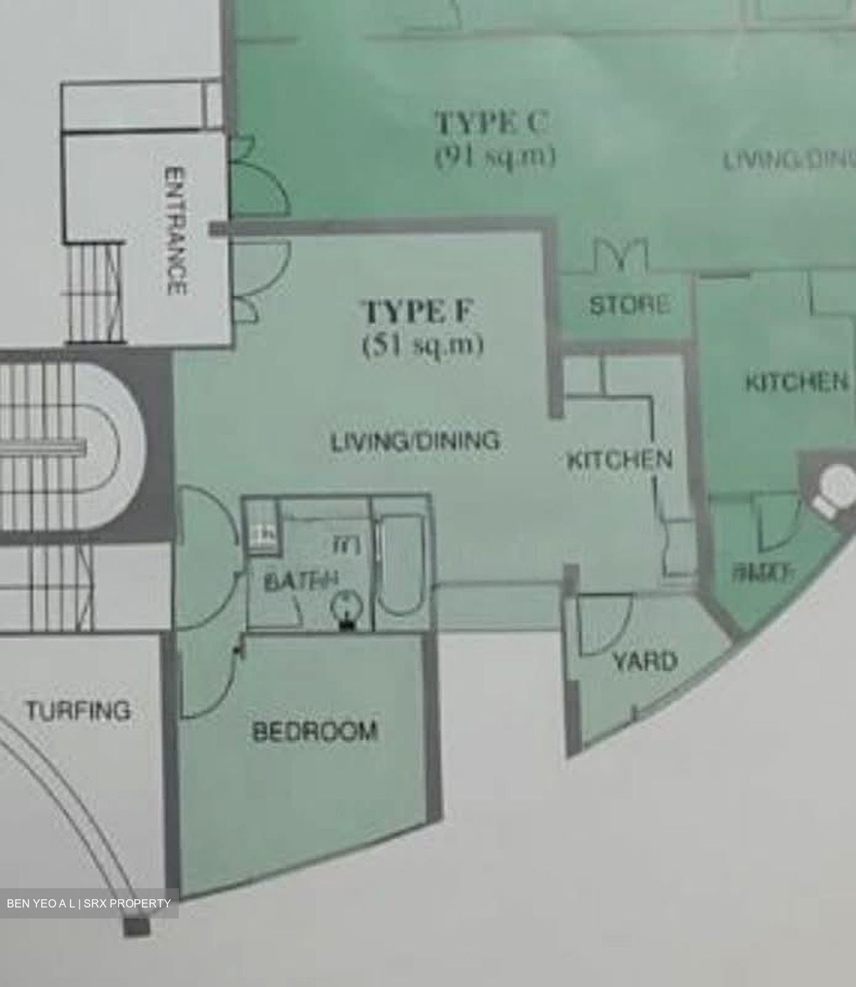 Astor Green (D21), Condominium #547226901